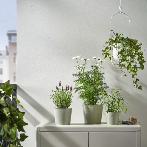 IKEA - BROKSPIREA, toprak saksı, açık yeşil, 12 cm