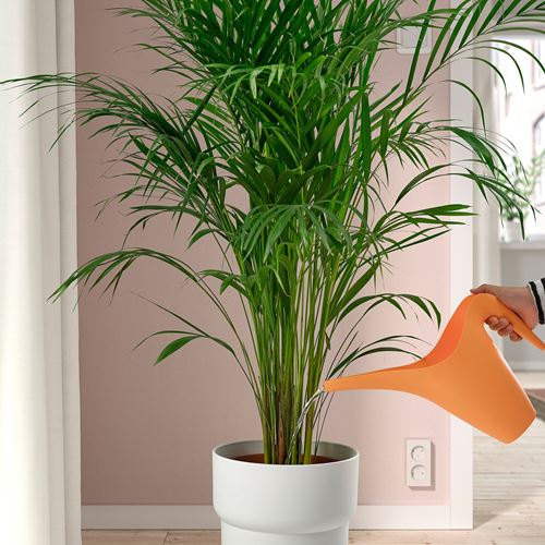 IKEA - IKEA PS 2002, watering can, orange, 1.2 l