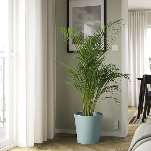 IKEA - VITLÖK, çelik saksı, turkuaz, 32 cm