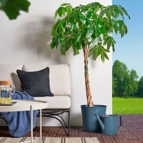 IKEA - AKERBAR, sulama kabı, koyu mavi, 5 lt