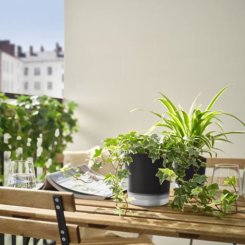 IKEA - VARDTRAD, sulama düzenekli saksı, antrasit, 12 cm