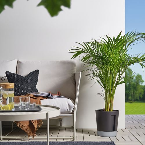 IKEA - VARDTRAD, self-watering plant pot, anthracite, 24 cm