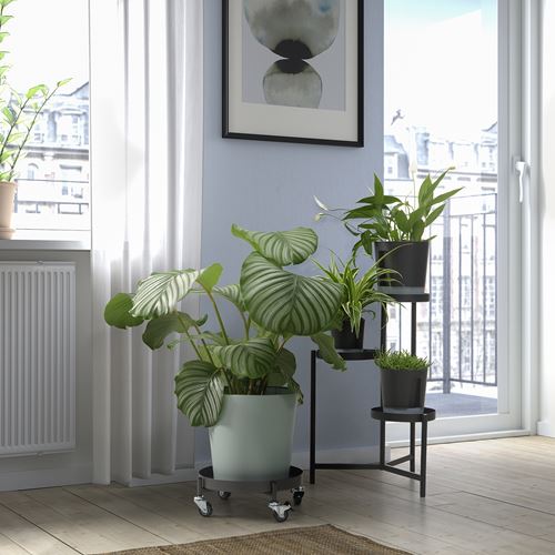 IKEA - OLIVBLAD, tekerlekli saksı altı, koyu gri, 32 cm