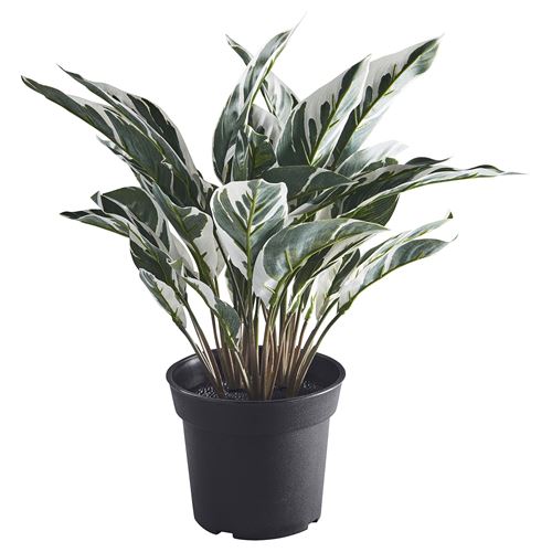 artificial plant