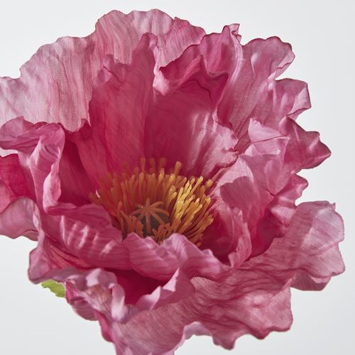 IKEA - SMYCKA, artificial flower, pink, 55 cm