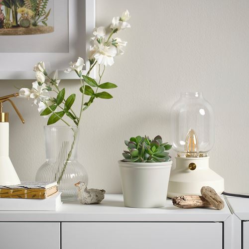 IKEA - KÖRSBARSBJÖRK, toprak saksı, açık gri-bej, 9 cm