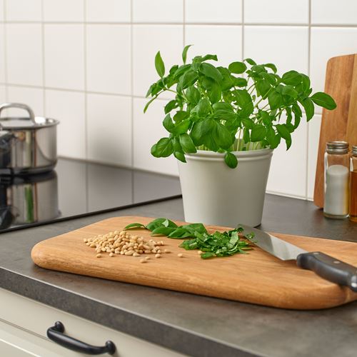 IKEA - KÖRSBARSBJÖRK, earthenware plant pot, light grey/beige, 12 cm