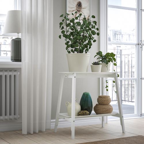 IKEA - KÖRSBARSBJÖRK, toprak saksı, açık gri-bej, 19 cm
