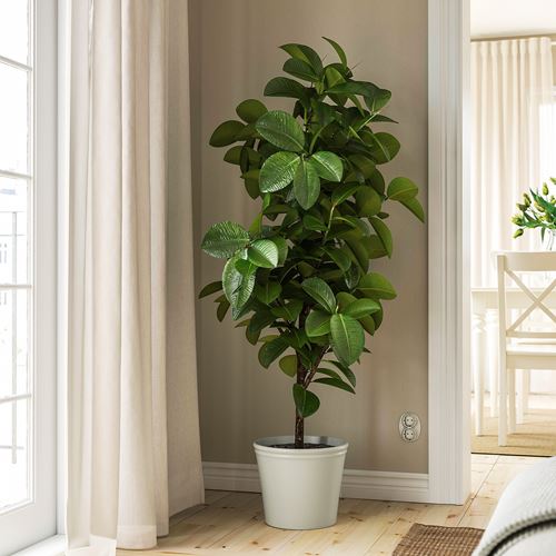 IKEA - KÖRSBARSBJÖRK, toprak saksı, açık gri-bej, 24 cm