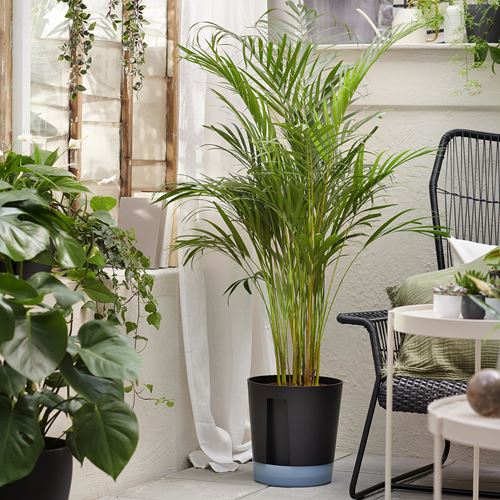 IKEA - VARDTRAD, self-watering plant pot, anthracite, 24 cm