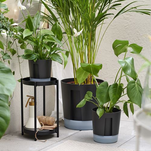 IKEA - VARDTRAD, sulama düzenekli saksı, antrasit, 12 cm