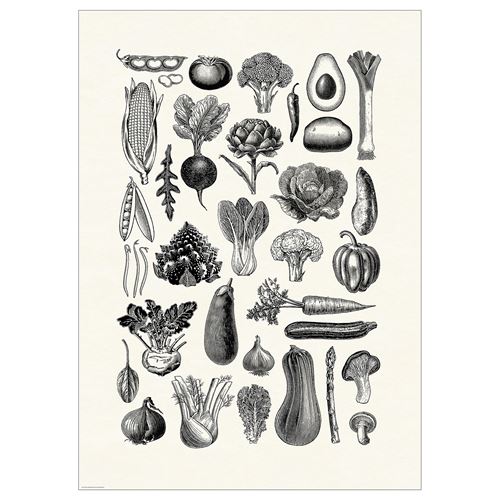 IKEA - BILD, poster, multicolour, 50x70 cm
