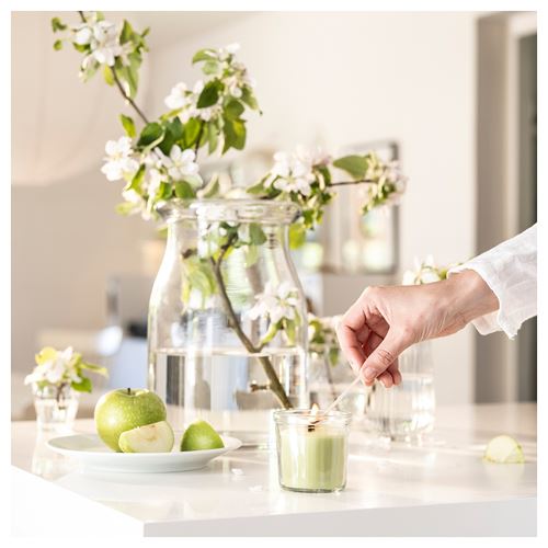 IKEA - LÖVSKOGSLUND, bardakta kokulu mum, açık yeşil, 20 saat