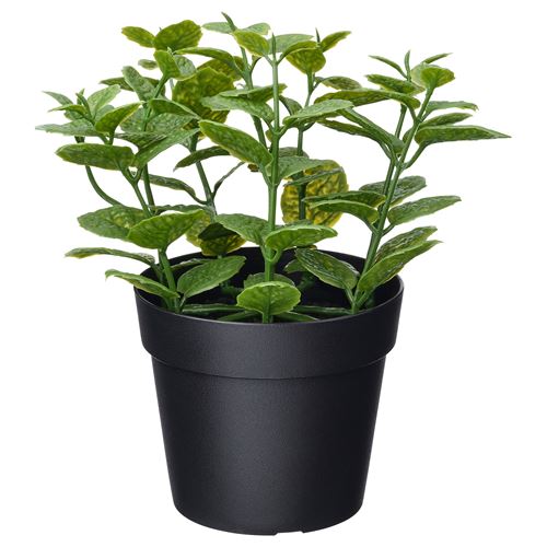 artificial plant