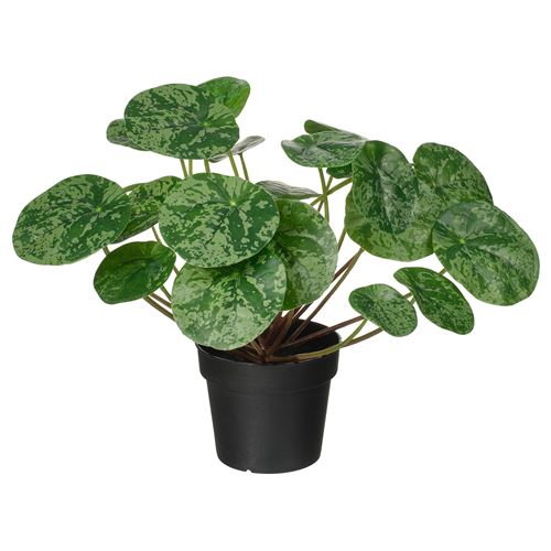 artificial plant