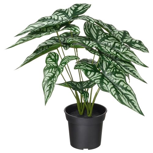 artificial plant
