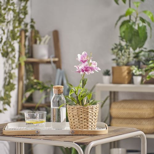 IKEA - FEJKA, artificial plant, pink, 12 cm