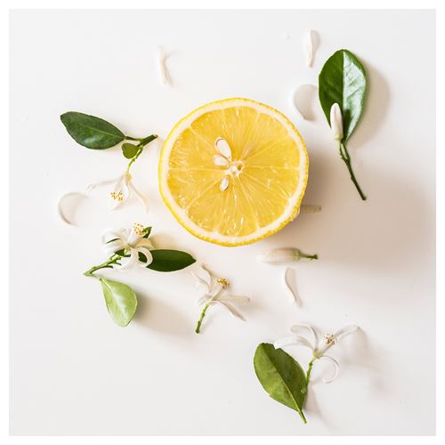 IKEA - FRÖFINK, kurutulmuş çiçek, sarı, 60 g