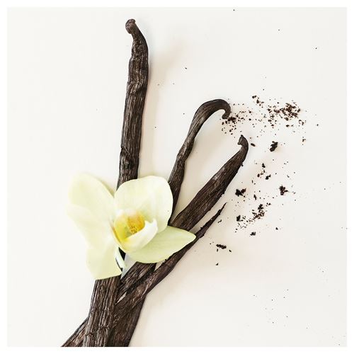 IKEA - FRÖFINK, kurutulmuş çiçek, bej, 60 g