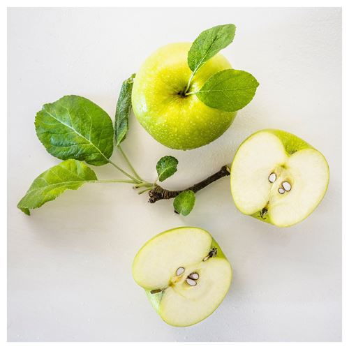 IKEA - LOTSFAGEL, scented tealight, light green, 3.5 hr