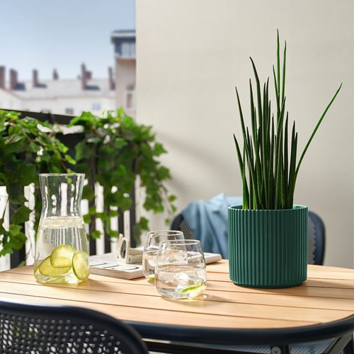 IKEA - DAKSJUS, earthenware plant pot, dark green, 12 cm