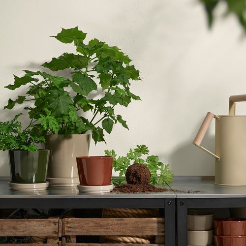 IKEA - KLOTLÖNN, toprak saksı, yeşil-bej, 15 cm