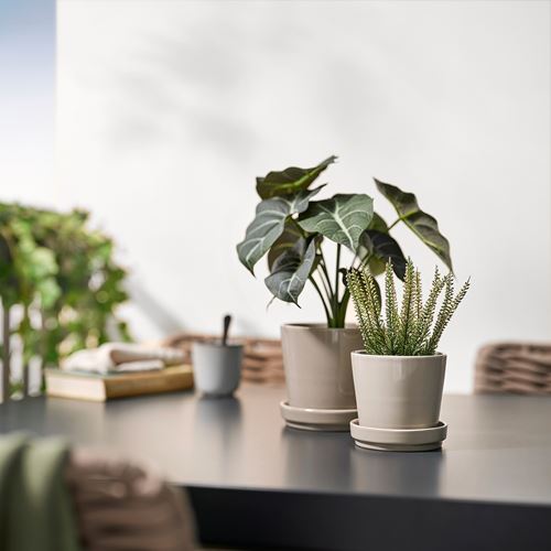 IKEA - FEJKA, yapay bitki, yeşil, 9 cm