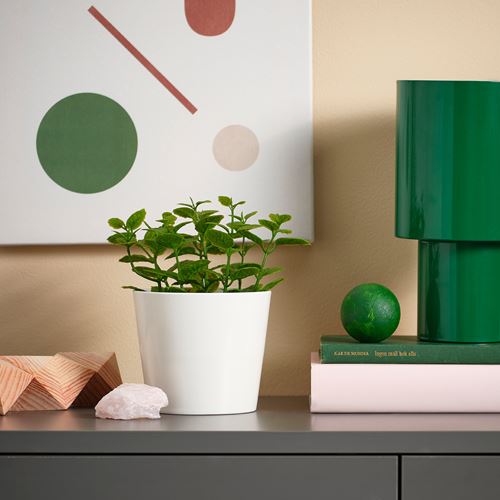 IKEA - FEJKA, yapay bitki, yeşil, 9 cm