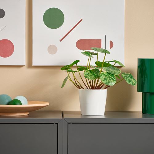 IKEA - FEJKA, yapay bitki, yeşil, 9 cm