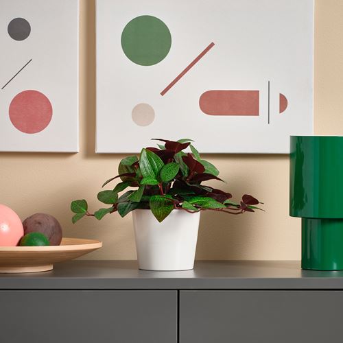 IKEA - FEJKA, yapay bitki, yeşil, 9 cm