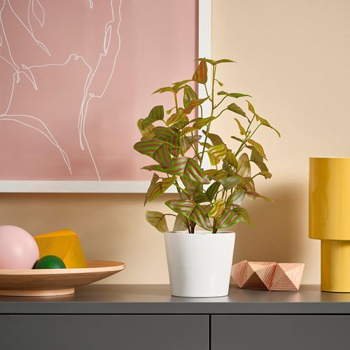 IKEA - FEJKA, yapay bitki, yeşil, 9 cm
