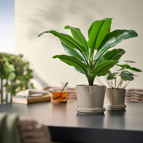 IKEA - FEJKA, yapay bitki, yeşil, 12 cm