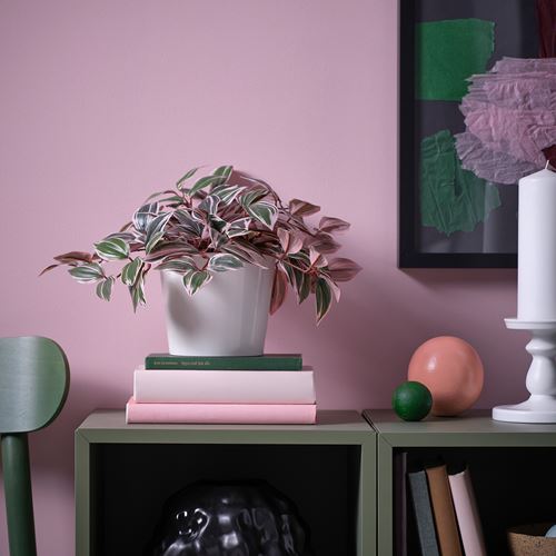 IKEA - FEJKA, yapay bitki, yeşil, 12 cm