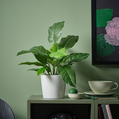 IKEA - FEJKA, yapay bitki, yeşil, 12 cm