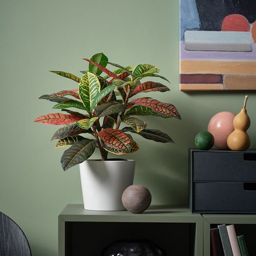 IKEA - FEJKA, yapay bitki, yeşil, 12 cm