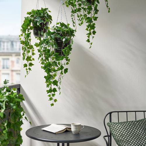 IKEA - FEJKA, yapay bitki, yeşil, 15 cm