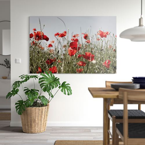 IKEA - PJATTERYD, resim, çok renkli, 118x78 cm
