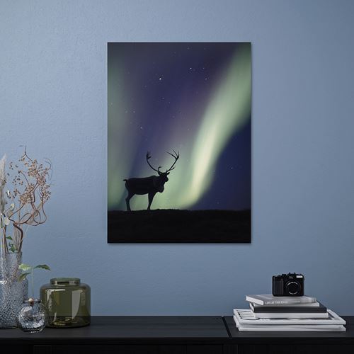 IKEA - PJATTERYD, resim, çok renkli, 50x70 cm
