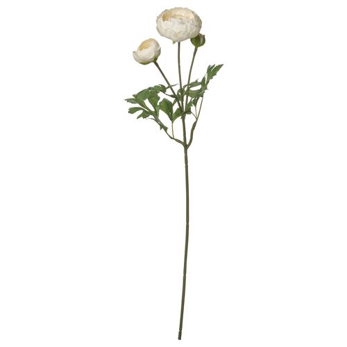 52 cm