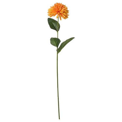 55 cm