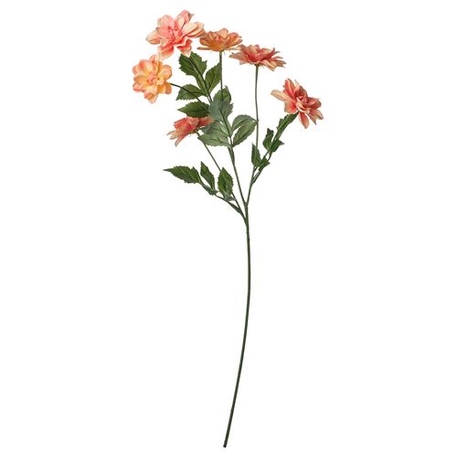 66 cm