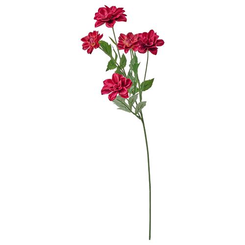 dark pink