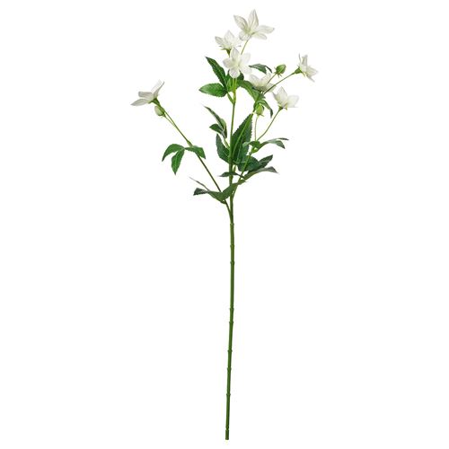 60 cm