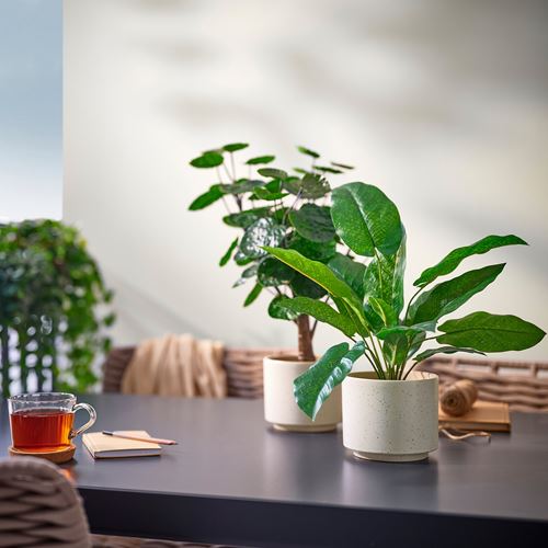 IKEA - SANDKÖRSBAR, seramik saksı, bej, 12 cm