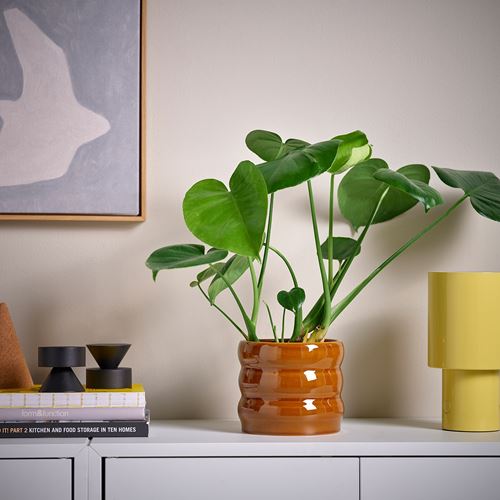 IKEA - HASSELBUKETT, seramik saksı, kahverengi-sarı, 12 cm