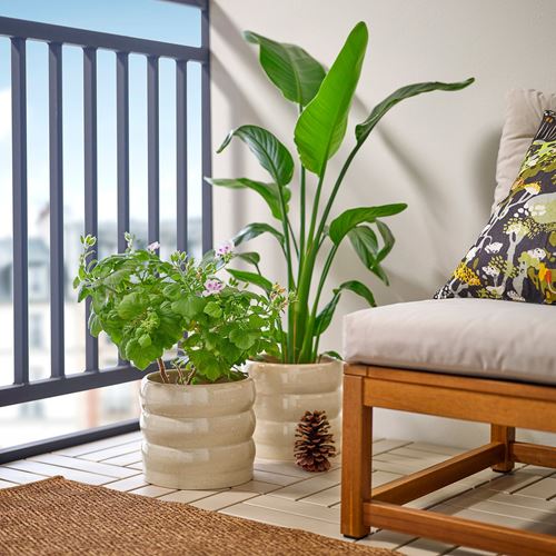 IKEA - HASSELBUKETT, seramik saksı, bej, 19 cm