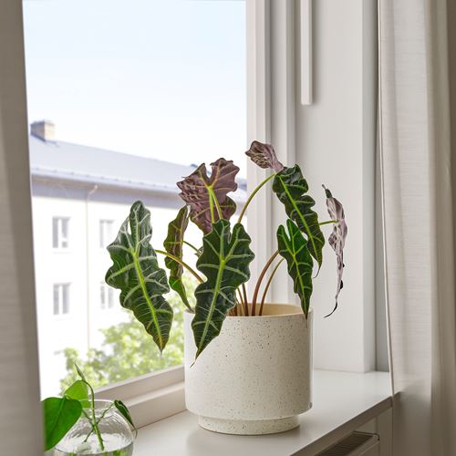 IKEA - SANDKÖRSBAR, stoneware plant pot, beige, 19 cm