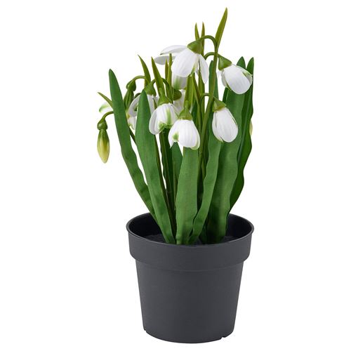 IKEA - FEJKA, artificial plant, green/white, 9 cm