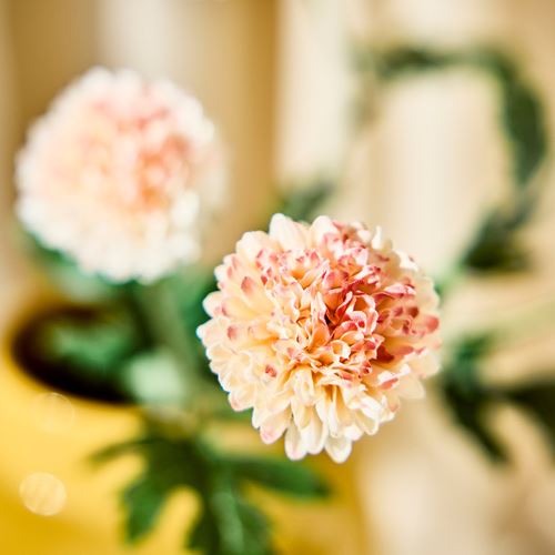 IKEA - SMYCKA, artificial flower, orange, 75 cm