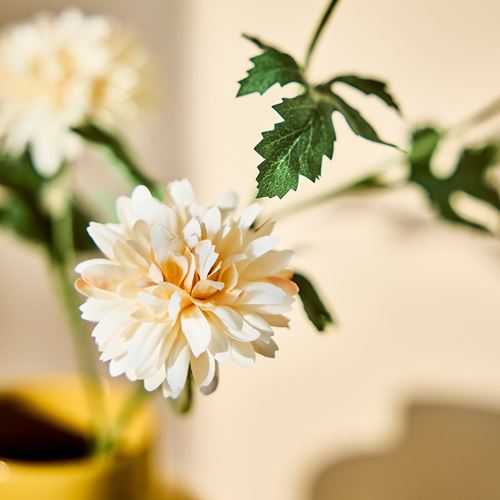 IKEA - SMYCKA, artificial flower, white, 71 cm
